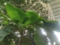 -中家鑫园温泉酒店鑫悦汤泉