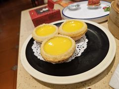 -点都德(大中华店)