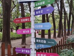 -共青国家森林公园-售票处