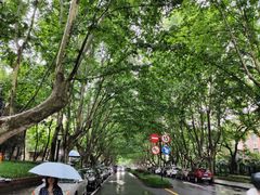-浙江大学(玉泉校区)