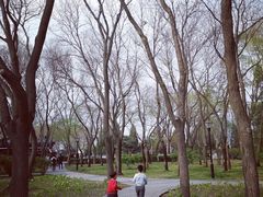 -玲珑塔公园