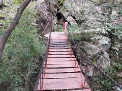 -秦岭终南山世界地质公园翠华山景区