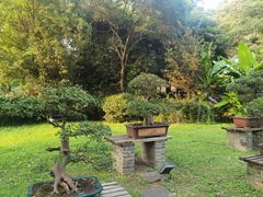 -扬州大运河文化旅游度假区·盆景园