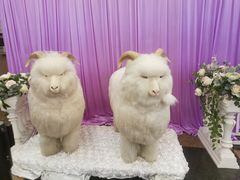 -新兴家喻酒家·羊城名宴(昌岗店)