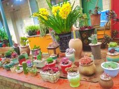 -阳光山水江湖菜馆(西山龙门店)