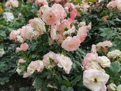 -人民公园(罗湖区)