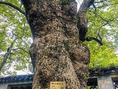 -惠山古镇·寄畅园