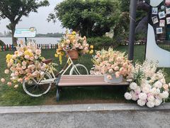 -荷兰花海
