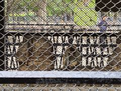 -长白岛森林公园