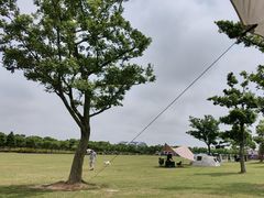 -春花秋色城市公园