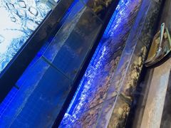 -透明思烤·自助烤肉海鲜火锅(东部星悦天地店)