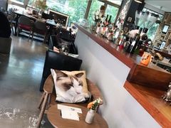 -咖法森林·咖啡  酒吧(天河店)