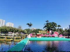 -荔湾湖公园