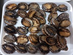 -大连海鲜斑鱼火锅(安平店)