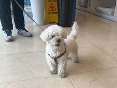 -瑞派申生动物医院·24H夜诊·国际动物医疗中心·骨外科(吴中路店)