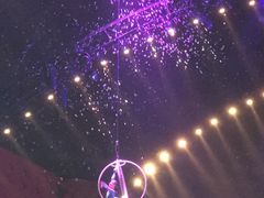 -珠海横琴长隆《卡卡虎奇遇记》