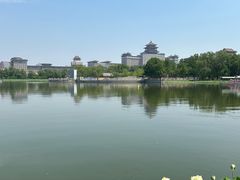 -莲花池公园