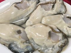 生蚝-花苑美食横琴生蚝火锅(拱北粤华路店)