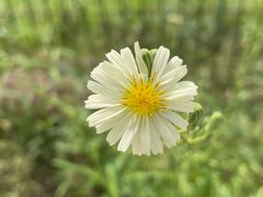 -青龙山国家森林公园