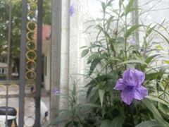 -上海虹桥迎宾馆