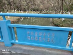 -青枫公园
