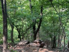-紫金山山顶公园