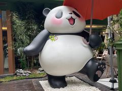 -轩客会(熊猫书店)