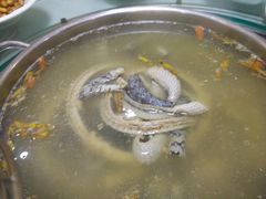 -闽粤一牛潮汕牛肉火锅