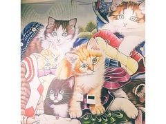 -猫小院猫主题餐厅(三里屯店)