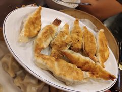 -高雄杨宝宝锅贴