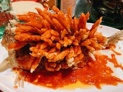 -楚灶王(徐东店)