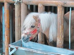 -云栖山谷野奢营地