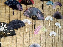 -楼上猫咖(罗湖店)