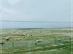 -青海湖国家重点风景名胜区