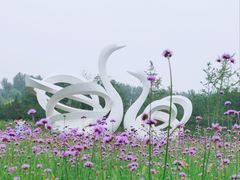 -东郊湿地公园
