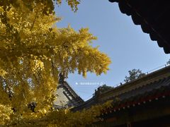 -承恩寺
