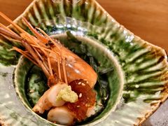 -鮨政· Omakase(港汇恒隆广场店)