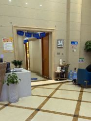 -碧莲盛·不剃发植发