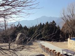 -白水寺森林公园