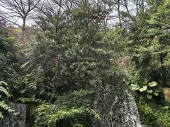 -广州市帽峰山景区