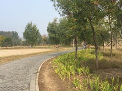 -东郊湿地公园