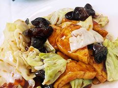 豆腐木耳圆白菜-奥华餐厅·老张记(台基厂店)