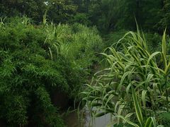 -宝界山林公园