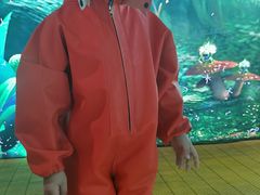 -巴克创奇梦工厂