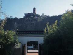 -南沙蒲洲花园
