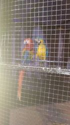 -酷嗒动物文化乐园(cutezoo西溪乐天城店)