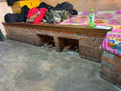 -鱼窝棚柴火铁锅炖(富山屯店)