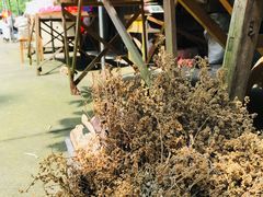 -芦茨金富饭庄·25年老字号·专做稻草鸡