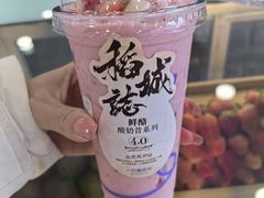 -一只酸奶牛(洪崖洞11楼店)