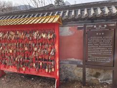 -阳台山自然风景区